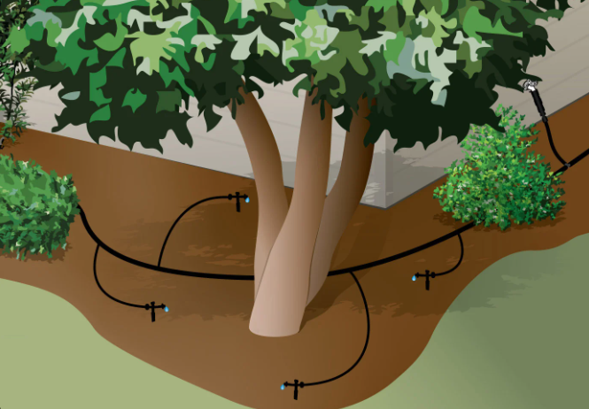 Csepegtető csövek, öntözés, locsolás